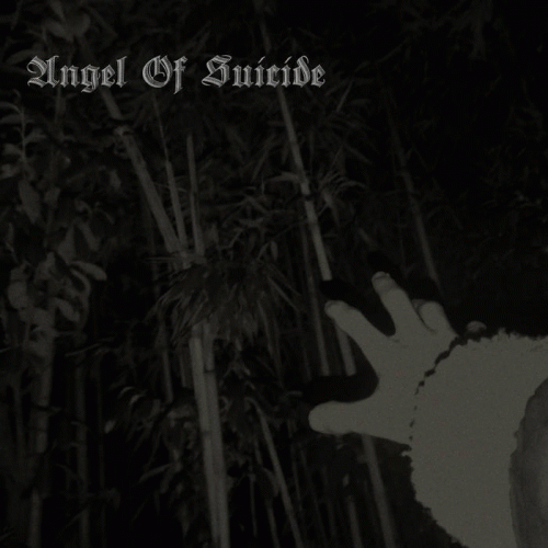 Angel Of Suicide : Leading a Miserable Existence Angel Of Suicide : Leading a Miserable Existence